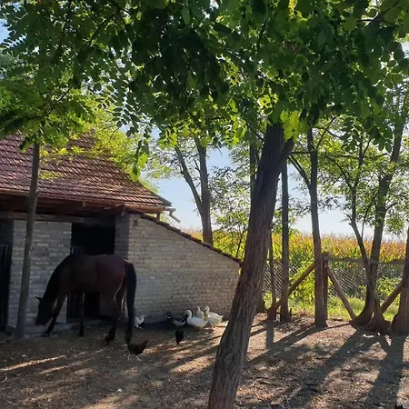 Etno Kuca Stara Frajla Apartmán *